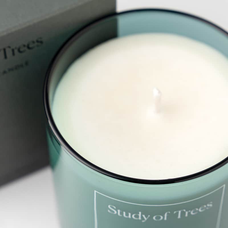 Study of Trees Scented Candle by Studio Milligram - 220g - Brand New